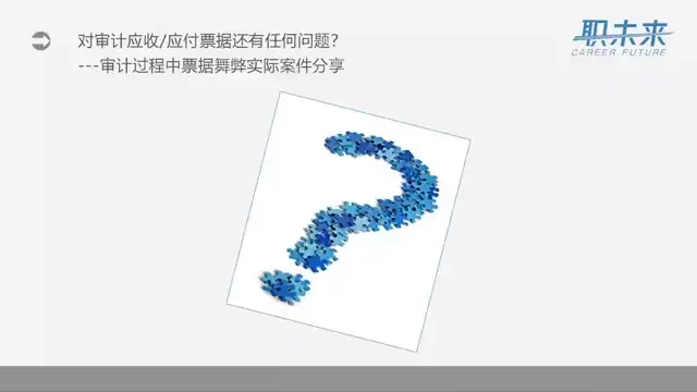 审计实务全攻略：从入门到精通