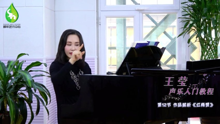 王莹零基础声乐入门教程：12节课掌握歌唱技巧