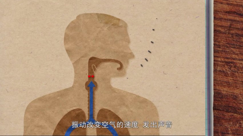 奇妙世界120问：儿童科普百科大全（1080P超清）