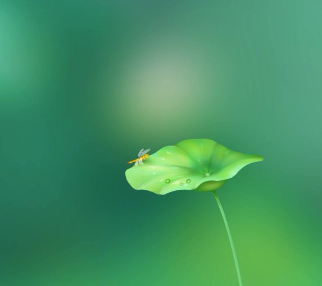 历史存在本体论精讲：6节视频+音频课