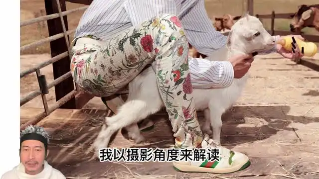 钟小棵手机摄影全流程：拍摄到精修实战教程