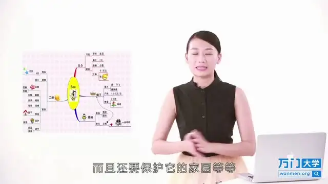 世界记忆大师：快速提升记忆力的终极指南