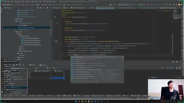 鱼皮API开放平台实战课程【26G】