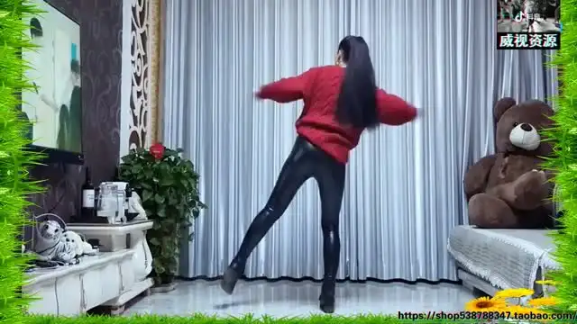 抖音热门舞蹈全攻略：从入门到精通