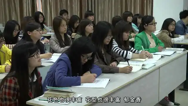 6节花艺课：从入门到精通，打造诗意生活