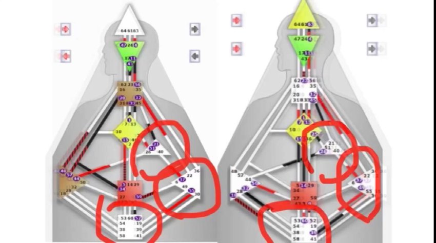 人类图解析：解锁你的独特人生路径