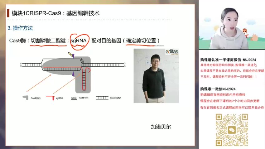 2024高考马阳洋生物二轮冲刺班·稳态与生态专题