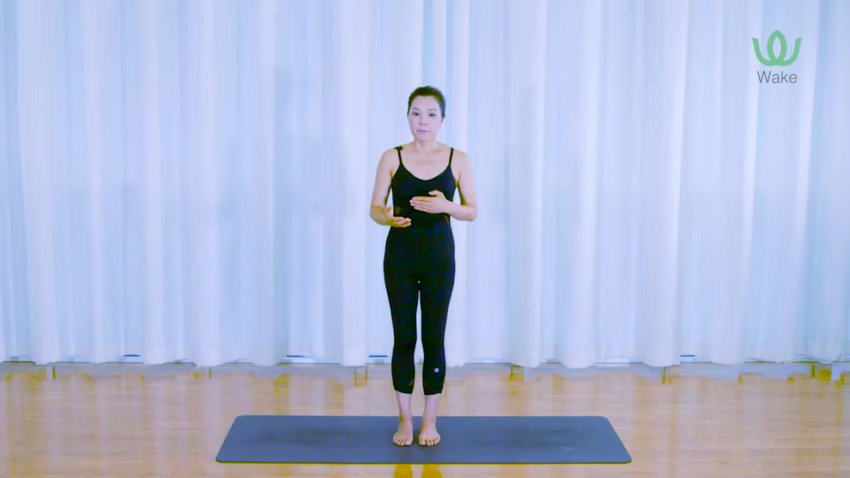 杨淇五行经络瑜伽课：疏通经络养生术