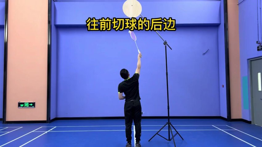 羽毛球进阶教程：124节高吊杀+网前技术特训
