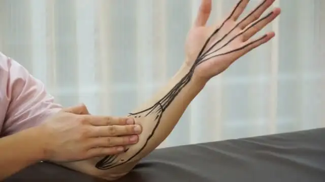 《苟文强51块肌肉解剖课：精准掌握人体肌肉结构》