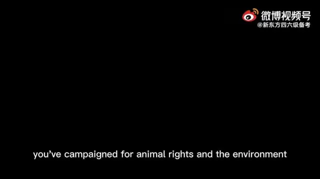 2015-2023年英语四六级真题解析全集：高效备考指南