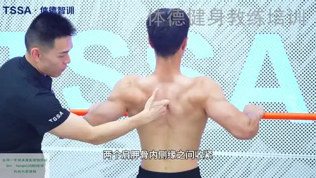 健身进阶必修课：全面掌握训练技巧与动作逻辑