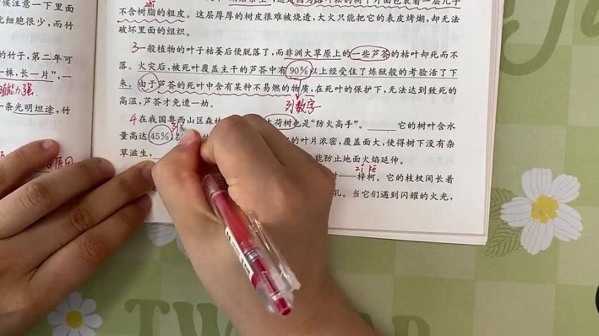 四年级阅读理解61篇精讲：写景·叙事·神话全掌握