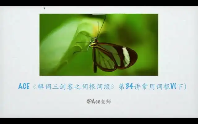 掌握267个核心词根：英语单词速记秘籍