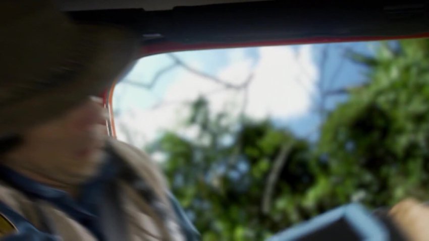 安迪30集水上动物大冒险1080P超清