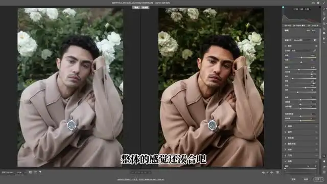 刘杨商业修图调色课：26节实战案例+毛发抠图技法