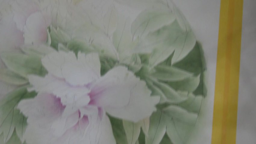 龚雪青工笔牡丹《牡丹小晴》3讲全集