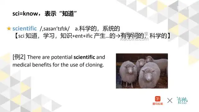 朱伟21天英语词根词缀速记营：高效掌握3000+单词