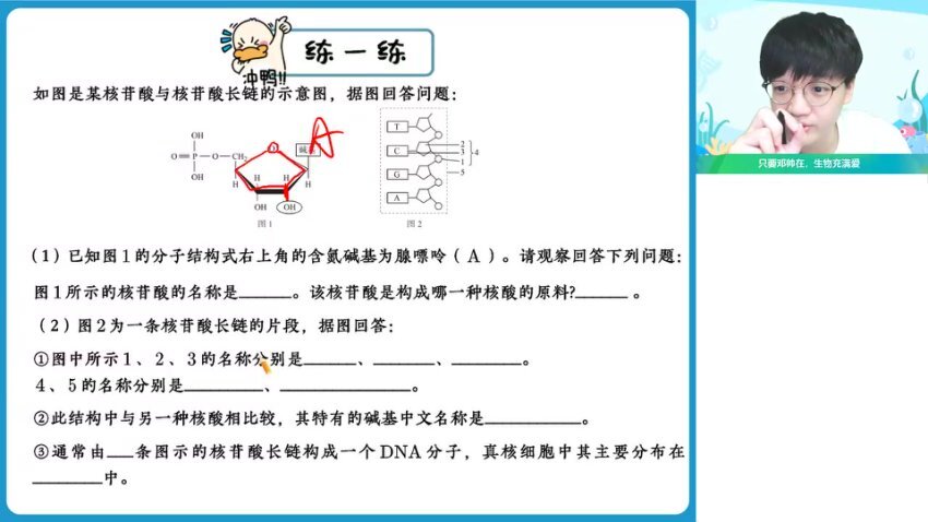 2024高一生物暑假班-邓康尧名师精讲+题型精练
